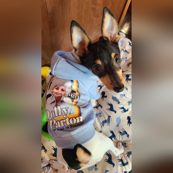 Meet your Posher, Tiff - Picture 8 of 16